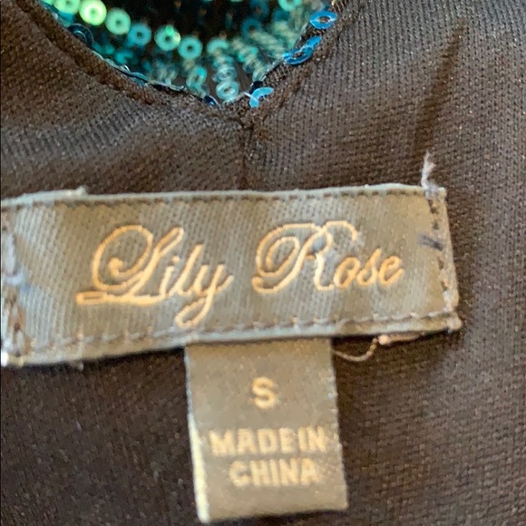 Lily Rose Sequin Dress - Picture 4 of 6